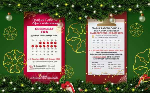 График работы представительства Greenleaf в России
